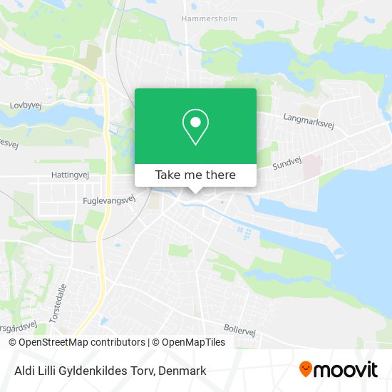 Aldi Lilli Gyldenkildes Torv map