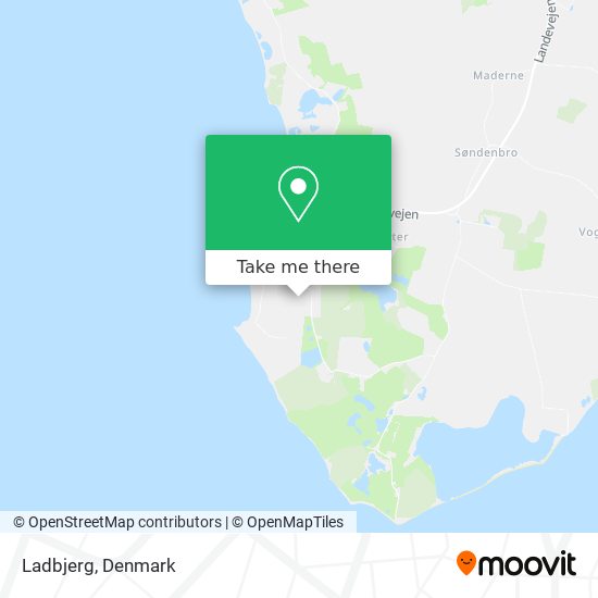 Ladbjerg map