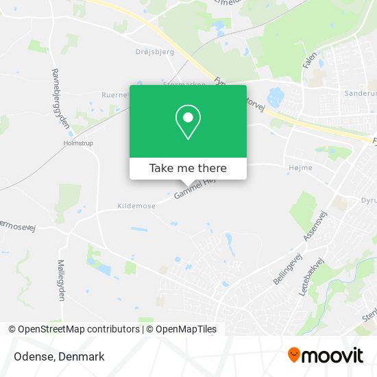 Odense map