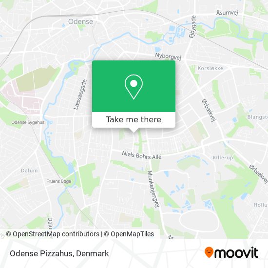 Odense Pizzahus map