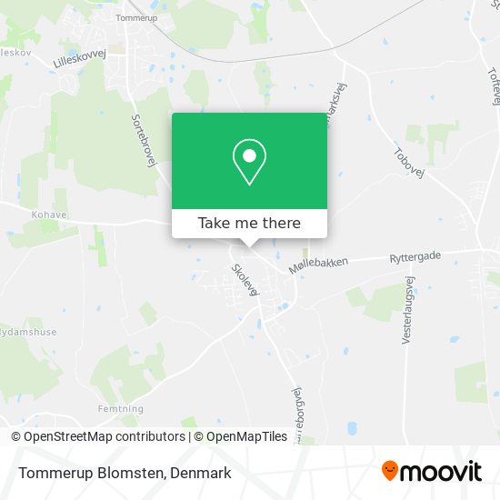 Tommerup Blomsten map