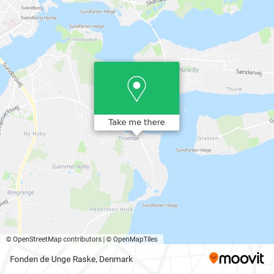 Fonden de Unge Raske map