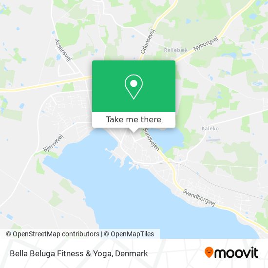 Bella Beluga Fitness & Yoga map