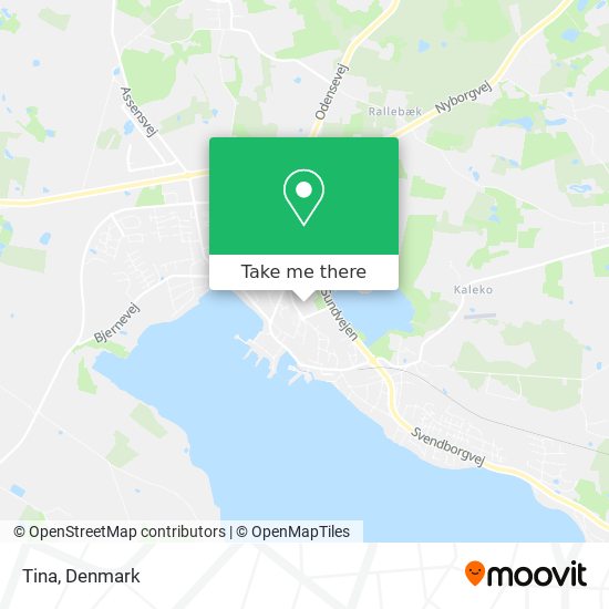 Tina map