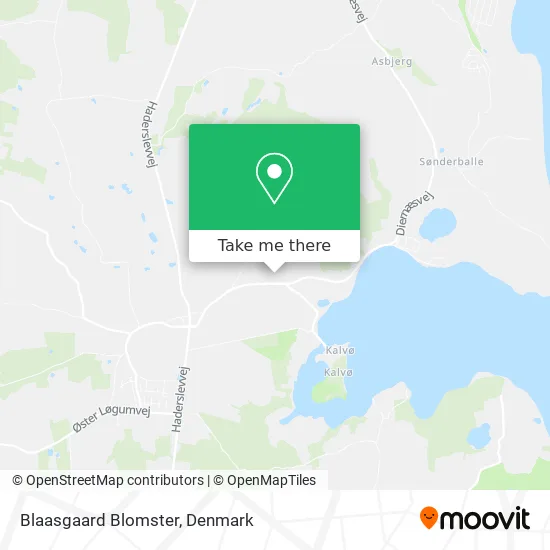 Blaasgaard Blomster map