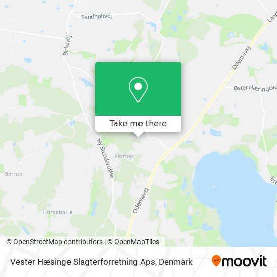 Vester Hæsinge Slagterforretning Aps map