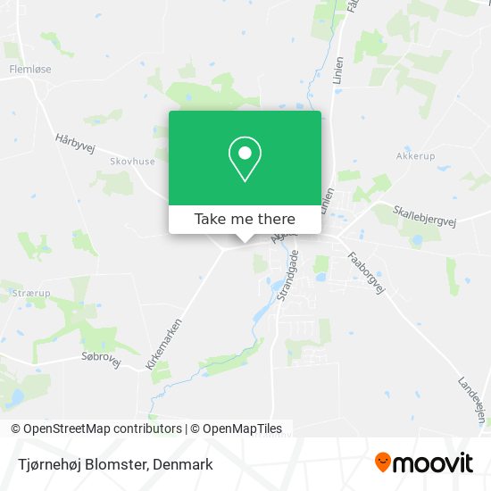 Tjørnehøj Blomster map