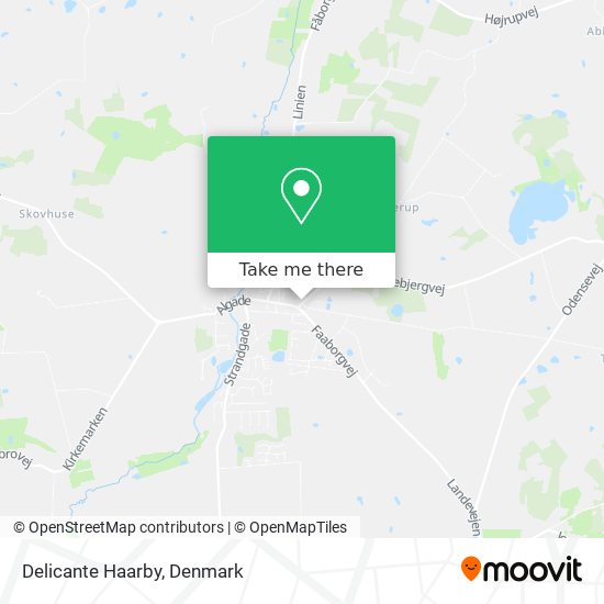 Delicante Haarby map