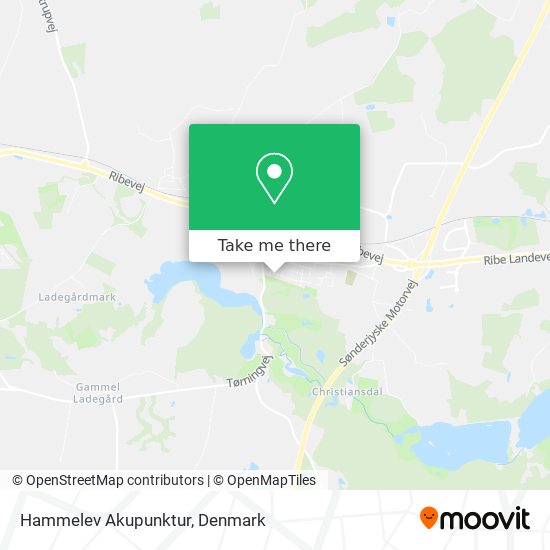 Hammelev Akupunktur map