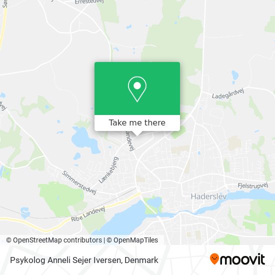 Psykolog Anneli Sejer Iversen map