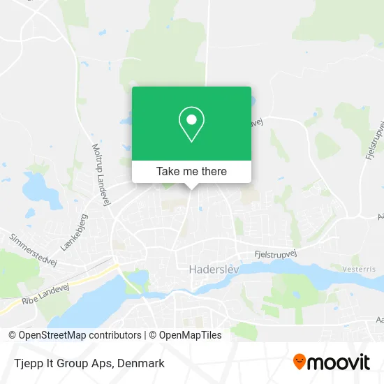 Tjepp It Group Aps map