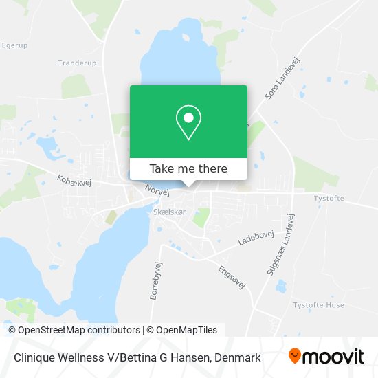 Clinique Wellness V / Bettina G Hansen map
