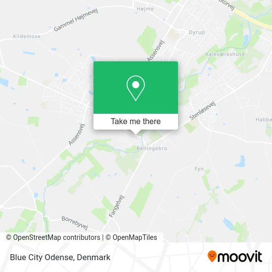 Blue City Odense map