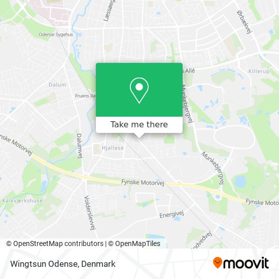 Wingtsun Odense map