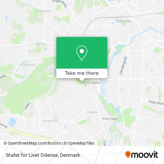 Stafet for Livet Odense map