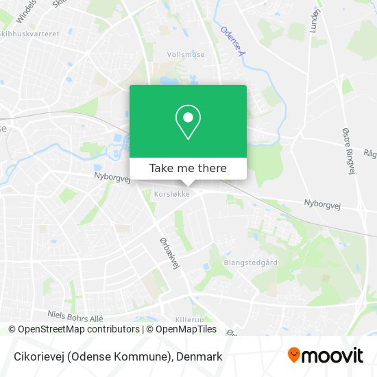 Cikorievej (Odense Kommune) map