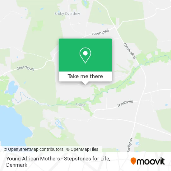 Young African Mothers - Stepstones for Life map