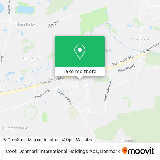 Cook Denmark International Holdings Aps map