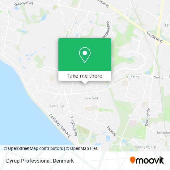 Dyrup Professional map