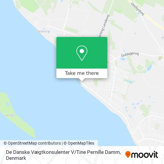 De Danske Vægtkonsulenter V / Tine Pernille Damm map