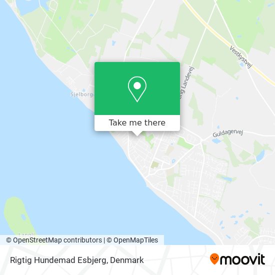 Rigtig Hundemad Esbjerg map