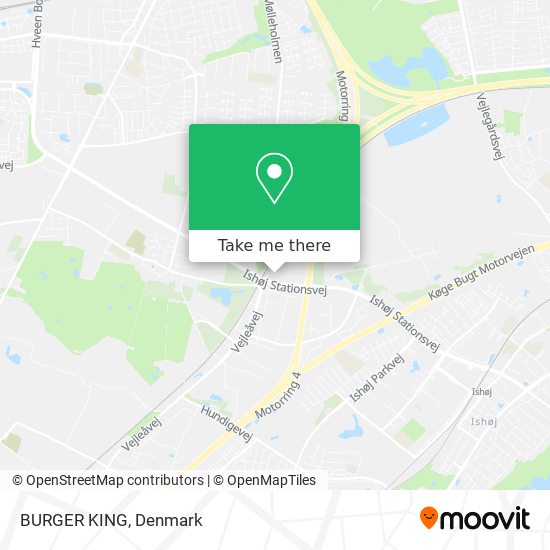 BURGER KING map