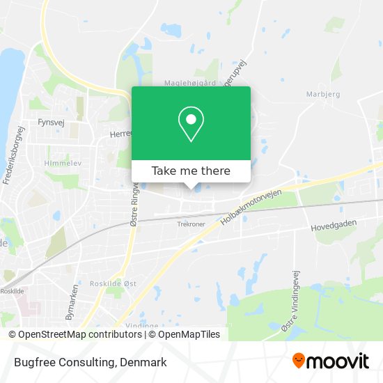 Bugfree Consulting map