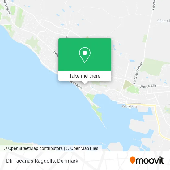 Dk Tacanas Ragdolls map