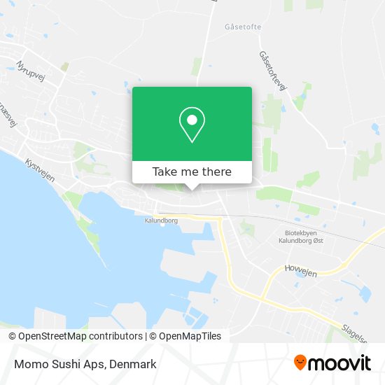 Momo Sushi Aps map