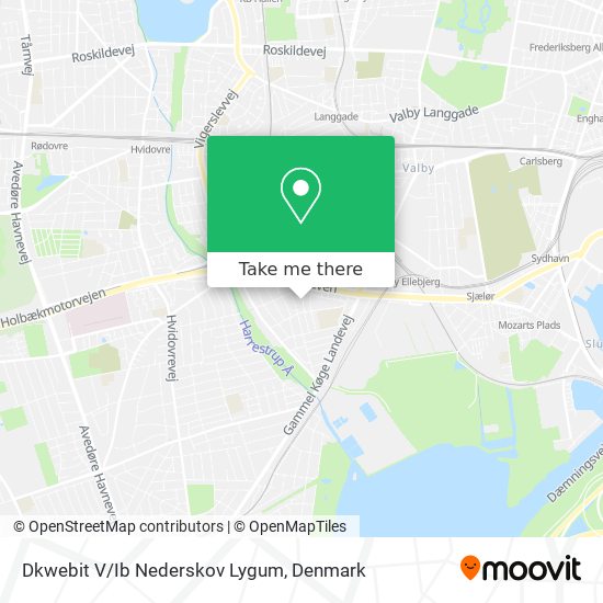 Dkwebit V/Ib Nederskov Lygum map