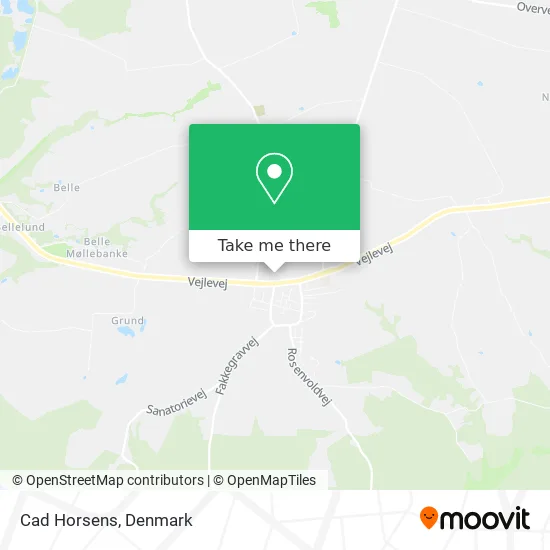 Cad Horsens map