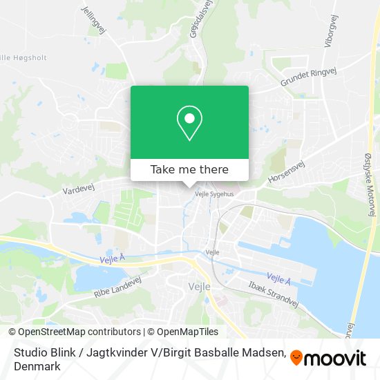 Studio Blink / Jagtkvinder V / Birgit Basballe Madsen map