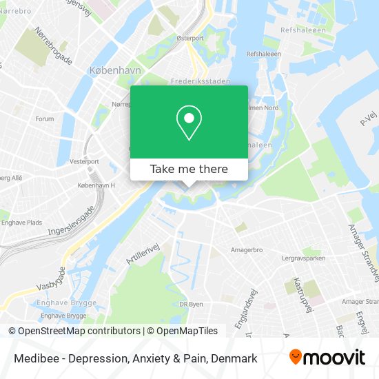 Medibee - Depression, Anxiety & Pain map