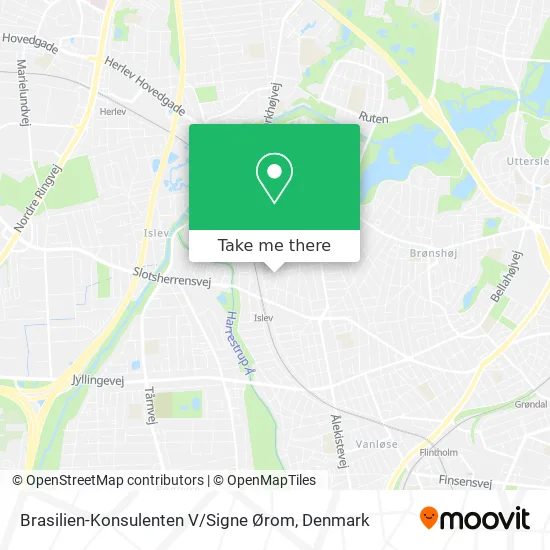 Brasilien-Konsulenten V / Signe Ørom map