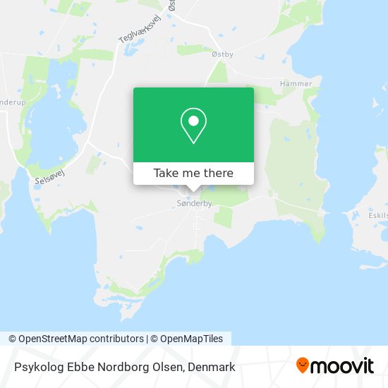 Psykolog Ebbe Nordborg Olsen map