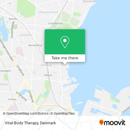 Vital-Body Therapy map