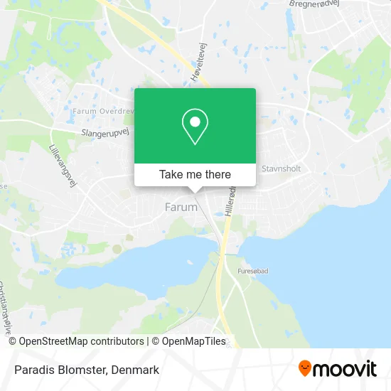 Paradis Blomster map