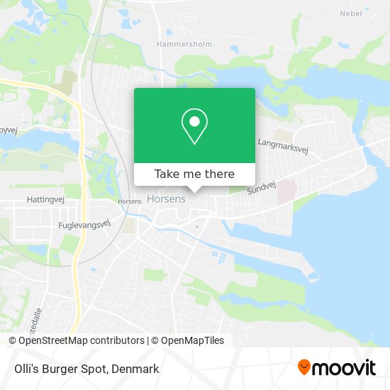 Olli's Burger Spot map