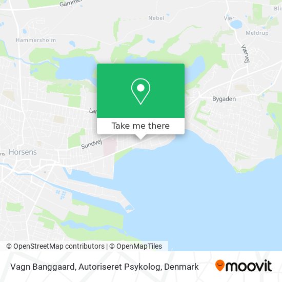 Vagn Banggaard, Autoriseret Psykolog map
