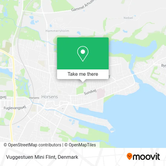 Vuggestuen Mini Flint map