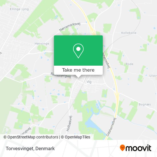 Torvesvinget map