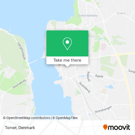 Torvet map