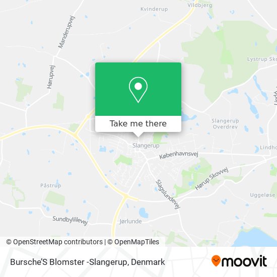Bursche’S Blomster -Slangerup map