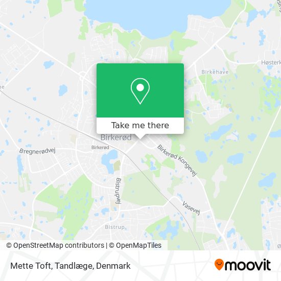 Mette Toft, Tandlæge map