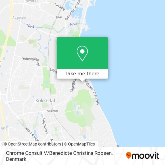 Chrome Consult V / Benedicte Christina Roosen map