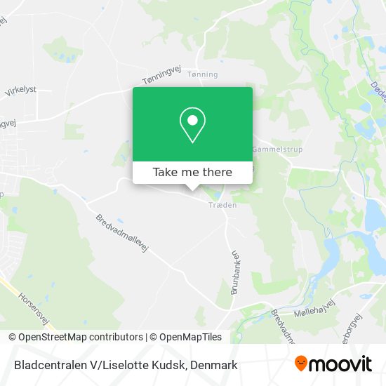 Bladcentralen V / Liselotte Kudsk map