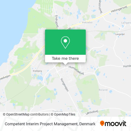 Competent Interim Project Management map