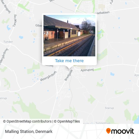 Malling Station map