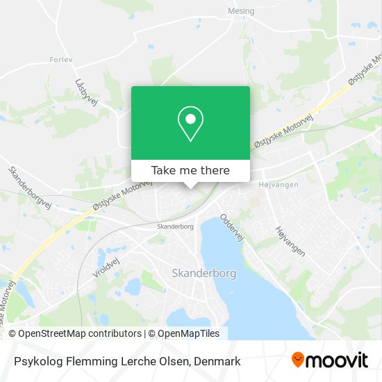 Psykolog Flemming Lerche Olsen map