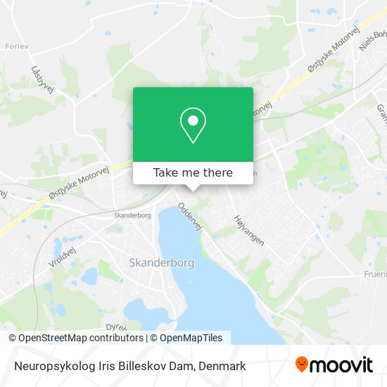 Neuropsykolog Iris Billeskov Dam map